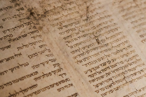 Torah Is A Treasure - Rabbi Ron Goldberg